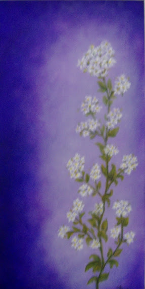 Violeta-Flores Brancas