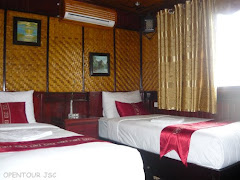 deluxe twin room