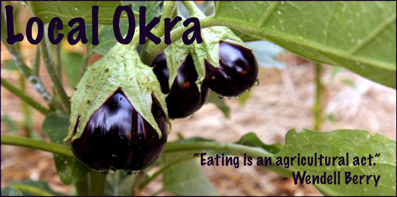 Local Okra