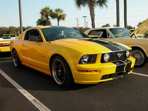 Yellow Mustang Stripes
