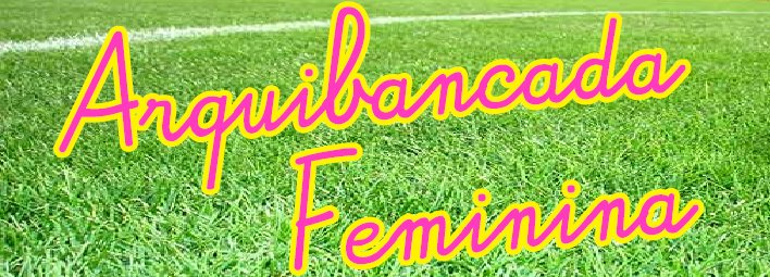 Arquibancada Feminina - Porque mulher também pode gostar de futebol!
