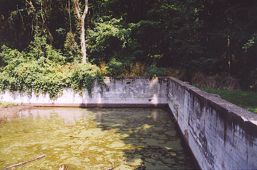 Union Park Then & Now Union Park Now The Swimming Pool