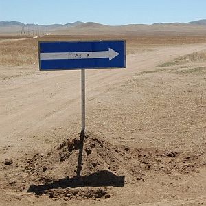 [sharkie_one_way_to_nowhere.jpg]