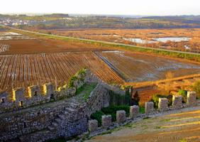 [campos-mondego-Daniel-Tiago.JPG]