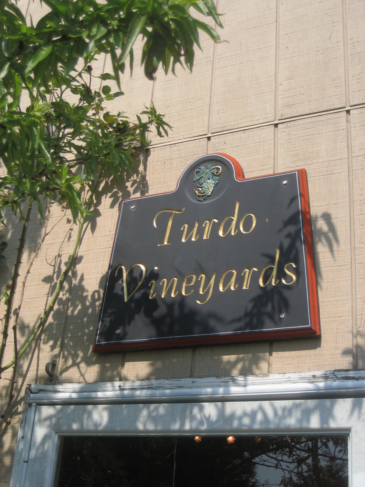 [cape+may+2009+004.jpg]