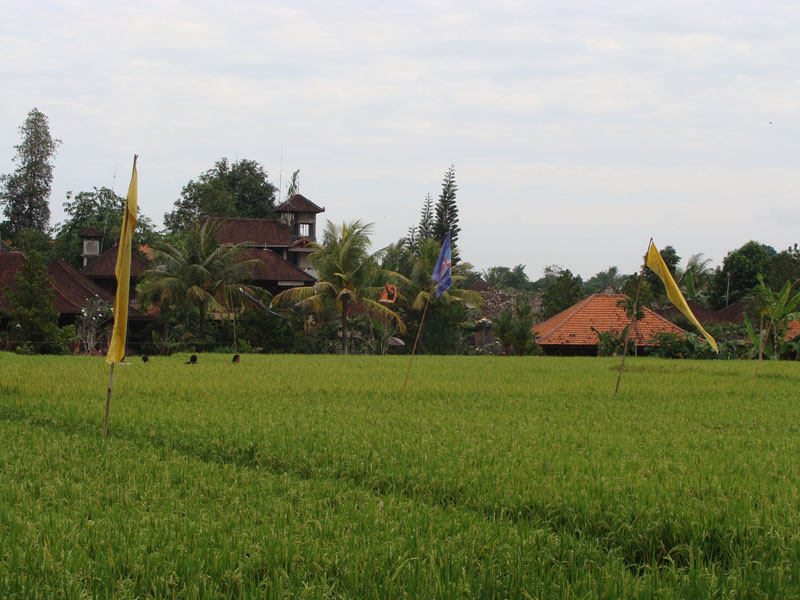 [DSC01947.jpg]