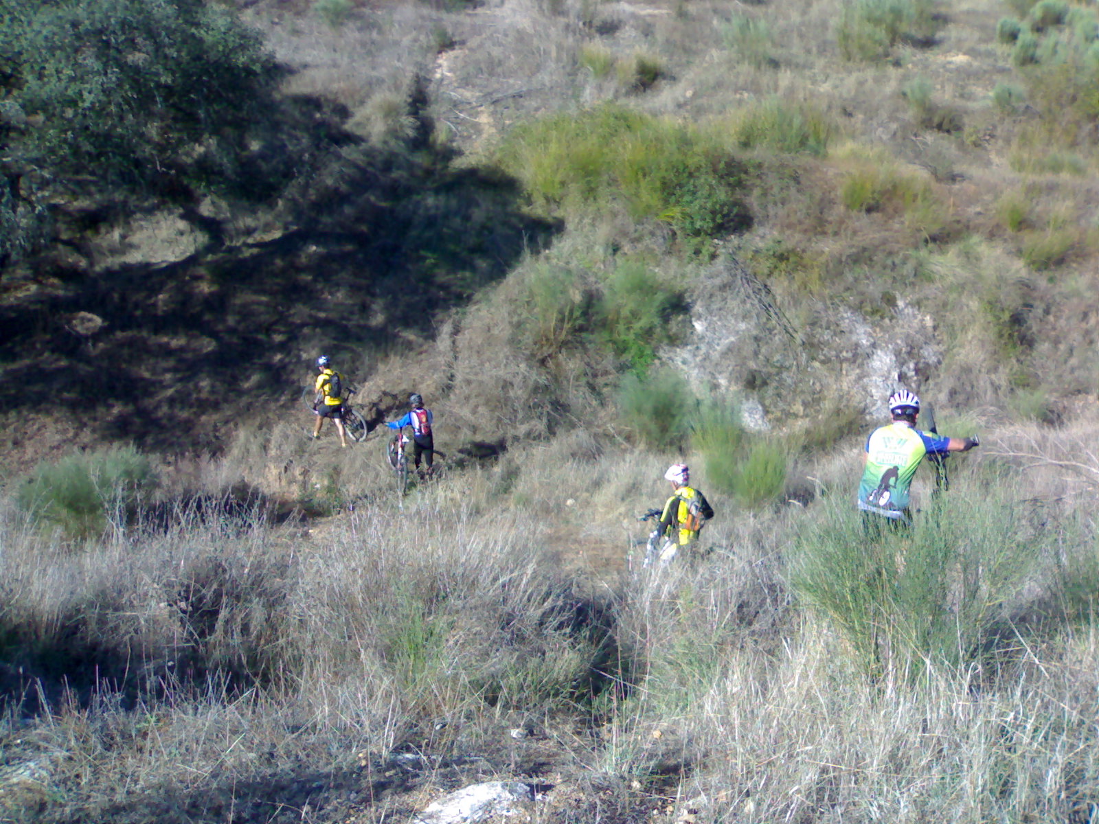 [261020081930.jpg]