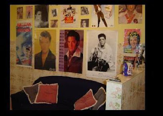 Minha sala de Elvis -2