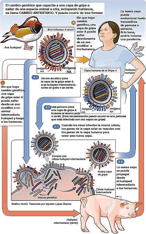 Propagacion del Virus