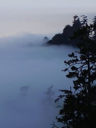 Foggy Morning in California