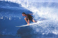 Surfing  -Visiontec