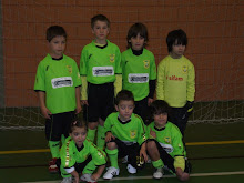 Equipa de MINIS