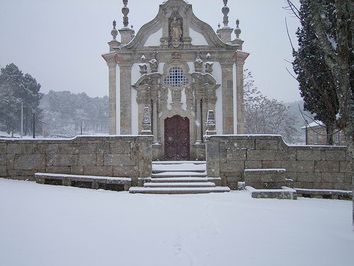 [NEVE+2010.jpg]