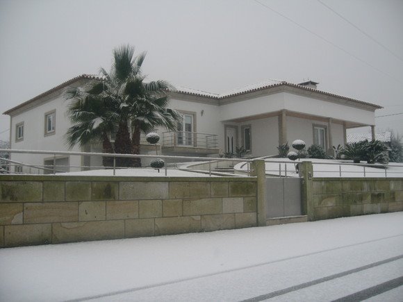 [barcelos.bmp]