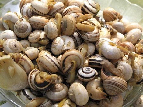 [dk_1426_caracoletas.jpg]