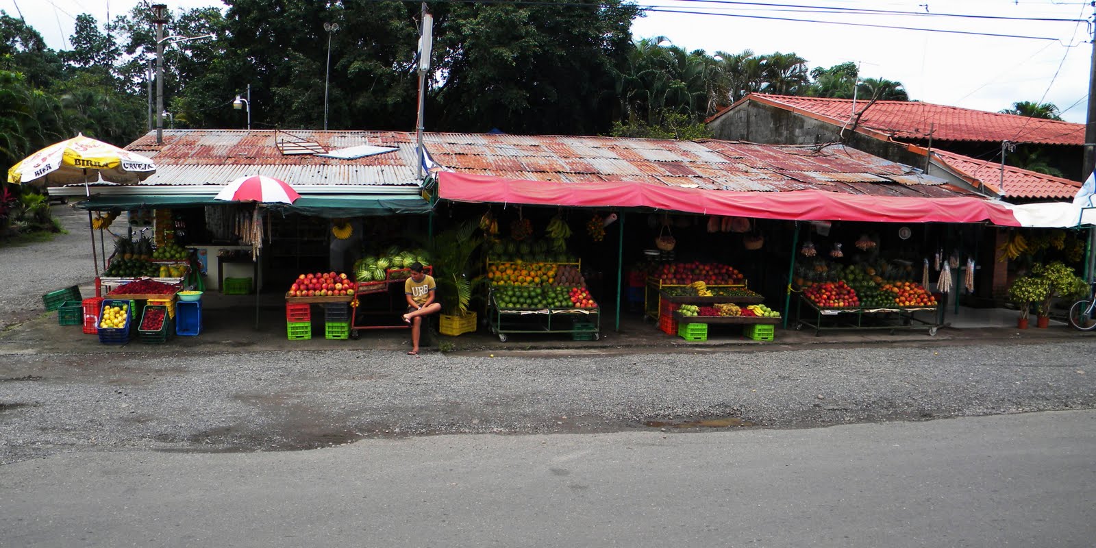 Fruit vendor on the way to Jaco