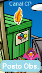 Pin Actual