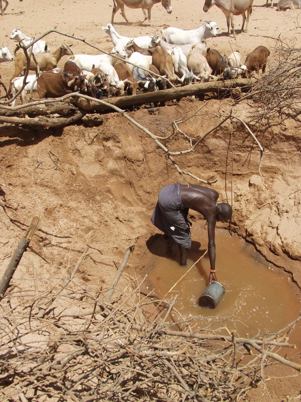 global water crisis africa First, to raise awareness about the global water crisis second, to join us in prayer for all the families who are mourning loved ones and facing the daunting task of rebuilding and finally, to partner with us in our efforts. global water crisis africa First, to raise awareness about the global water crisis second, to join us in prayer for all the families who are mourning loved ones and facing the daunting task of rebuilding and finally, to partner with us in our efforts.