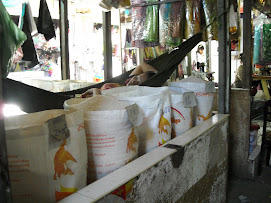 Siesta en el mercado