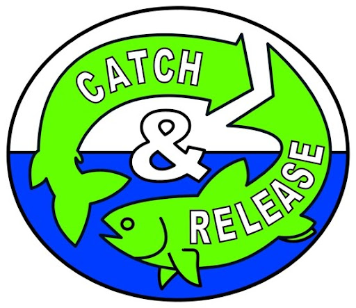 CATCH & RELEASE