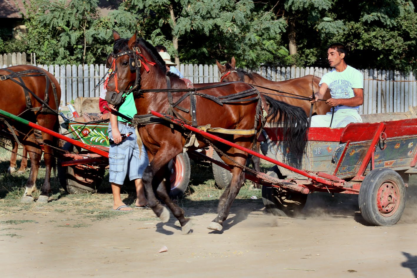 [20090823_008555.JPG]