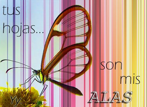 Tus hojas son mis alas