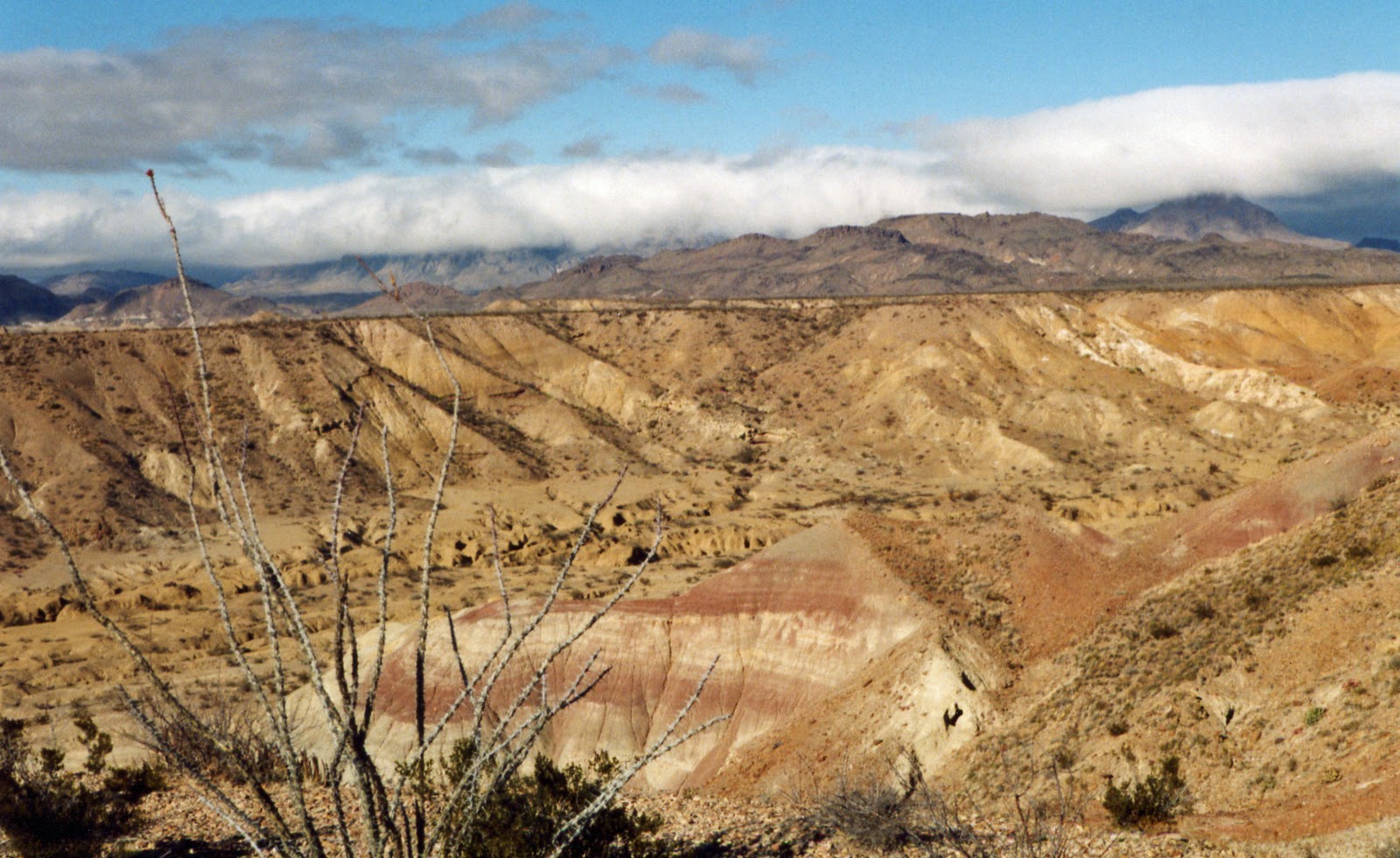 The Adventure Archives of Eric and Noelle Terlingua, Texas