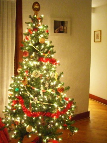 [tree+001.JPG]