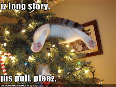 Lolcat stuck in christmas tree