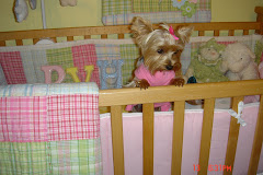 Big sister Miami, in Reagan's crib