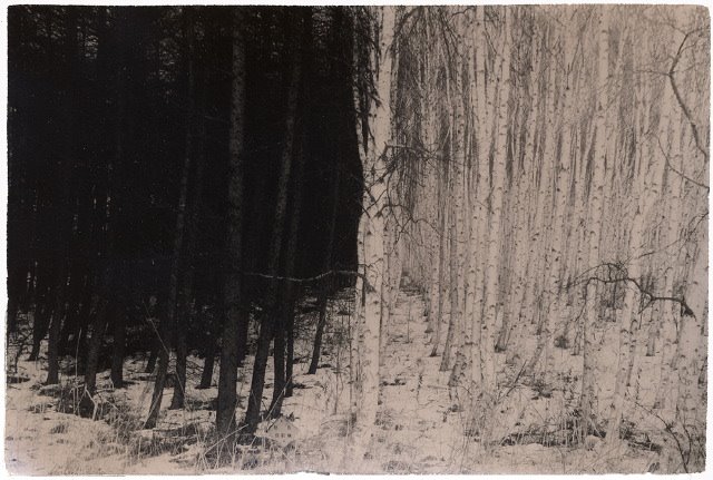 Masao Yamamoto 