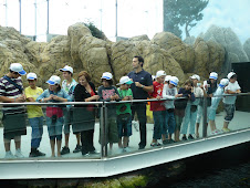 Visita ao Oceanário