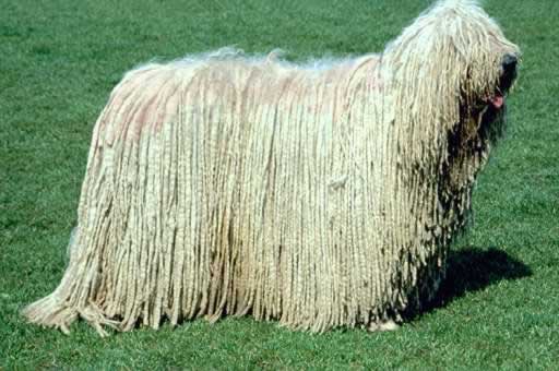 en