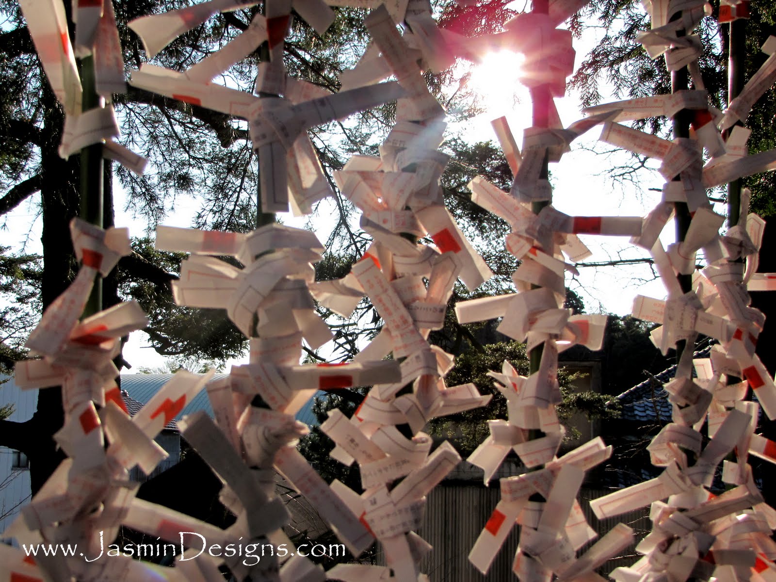 paper tree