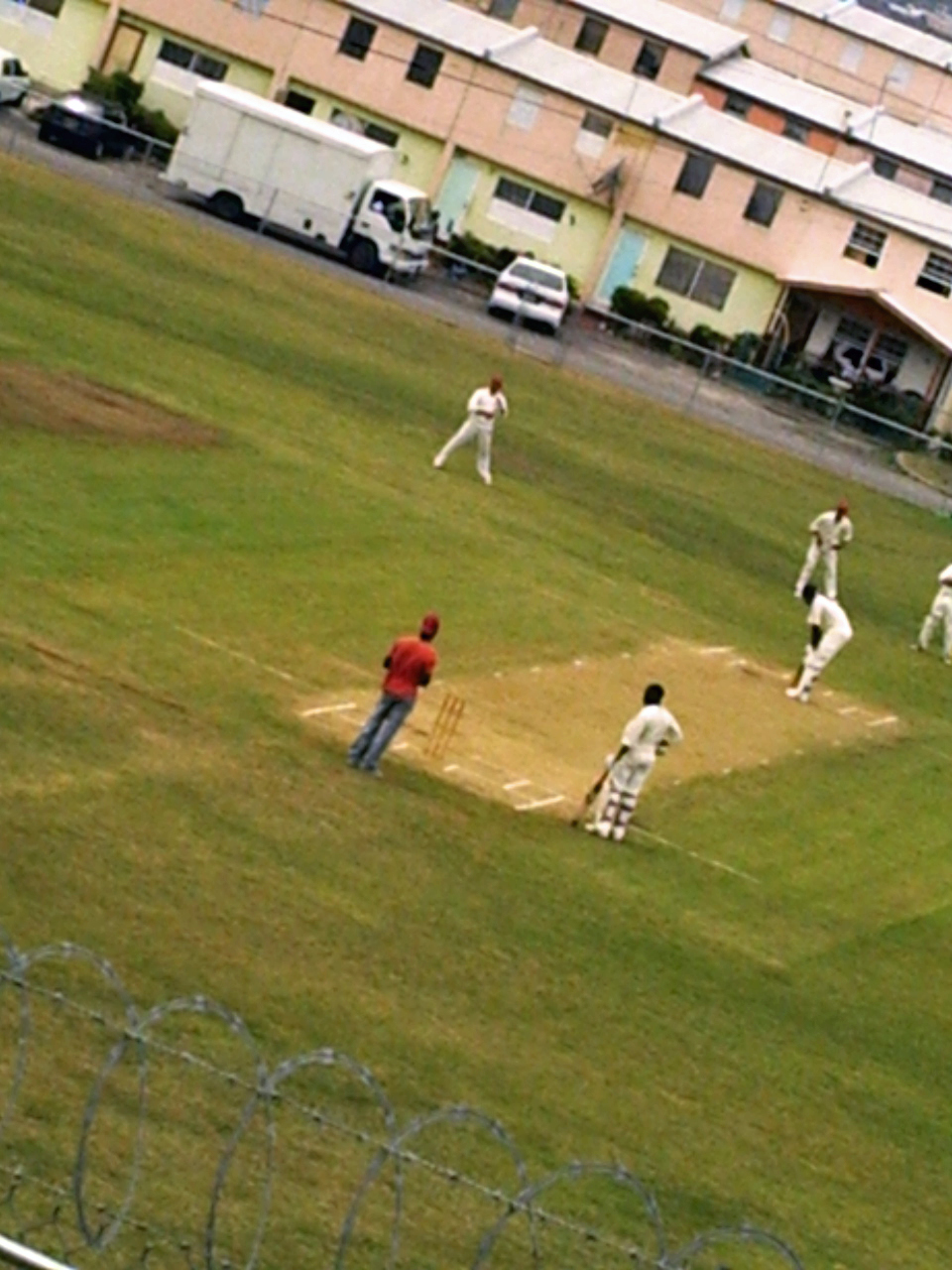 [Cricket-Pine-7.JPG]