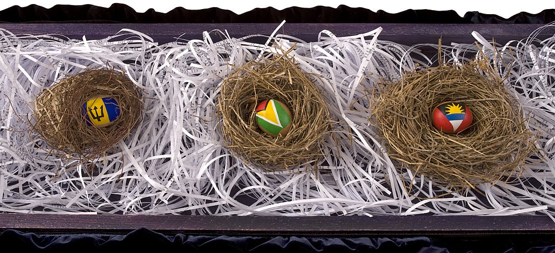 [ANNALEE+DAVIS+SEP-09+HATCHLINGS+DETAIL.jpg]
