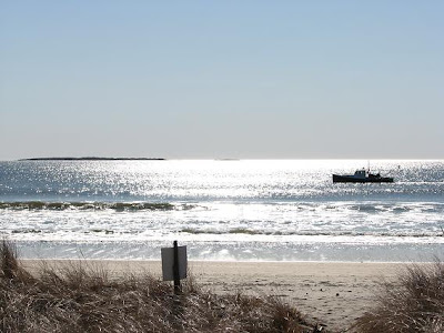 IMAGE: http://2.bp.blogspot.com/_OTkHLONyoXg/SOjKrv75THI/AAAAAAAAAC8/S76xnWLH7JI/s400/IMG_0578.JPG