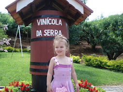 Na Vinícola da Serra