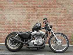 H-D 08 Sportster Low