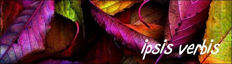 ipsis verbis