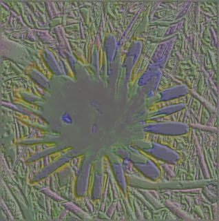 Twelve By Twelve September 2007