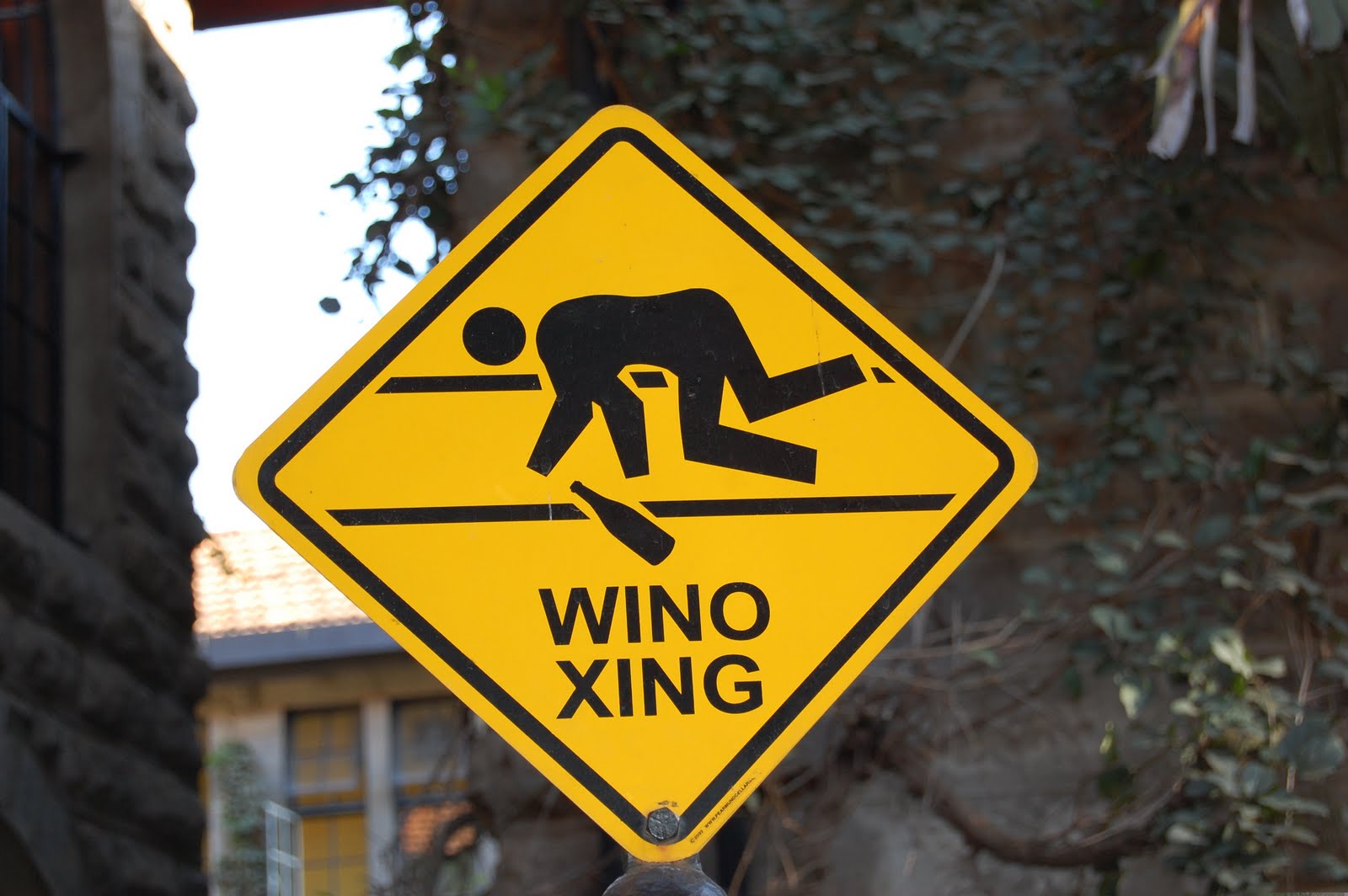 Wino Xing