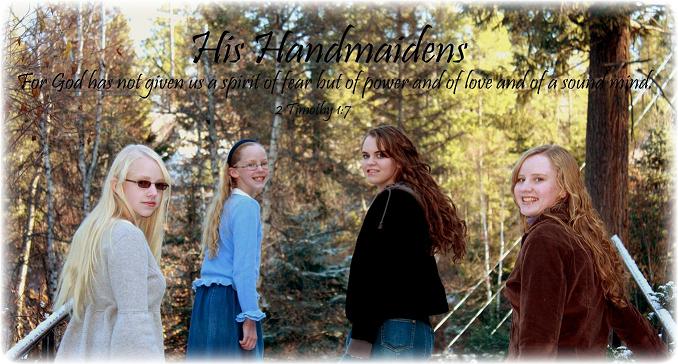 His Handmaidens