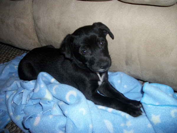 It's crazy to think he used to be this small and cuddly!