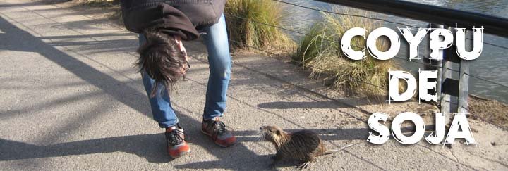 coypu de soja