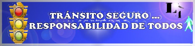 Proyecto tránsito Liceo 4