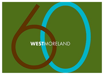 [trouble-2-green.gif]