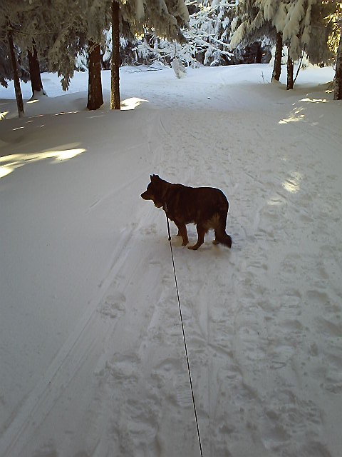 Elviras Versteck 2011 01 23