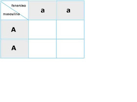 Cuadro de punnett: cuadro de punnett