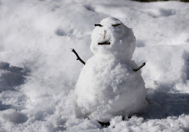 Creatief met sneeuw